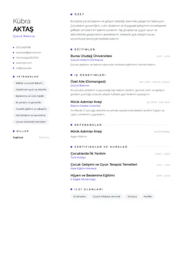 Çocuk Bakıcısı CV Örnekleri cv indir